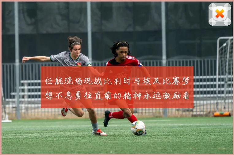 任航现场观战比利时与埃及比赛梦想不息勇往直前的精神永远激励着我们