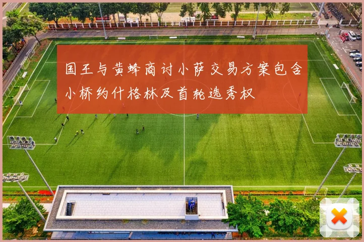 国王与黄蜂商讨小萨交易方案包含小桥约什格林及首轮选秀权